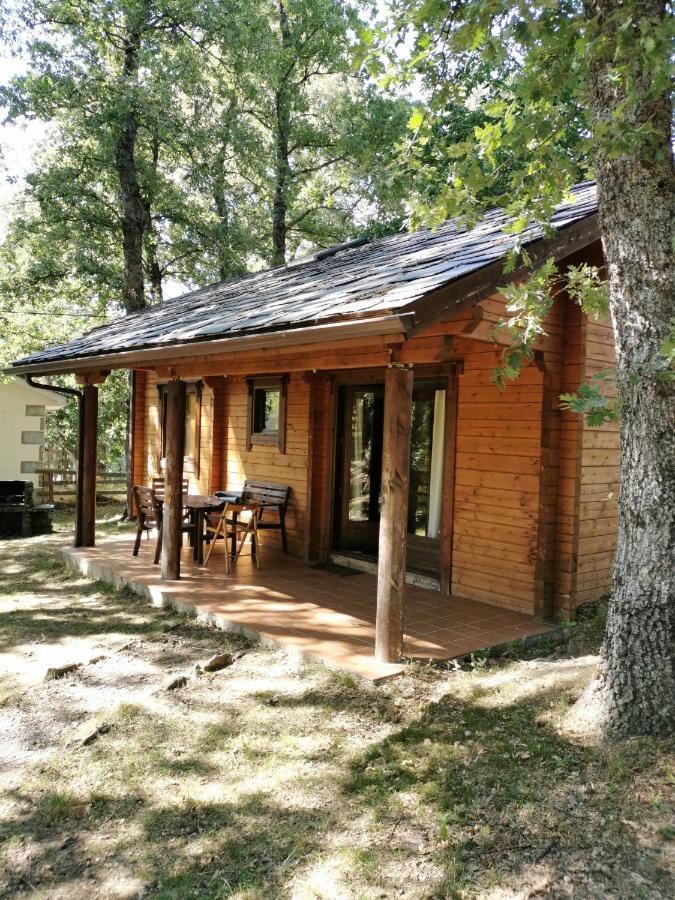 La Albarina Guest House Galende Ngoại thất bức ảnh